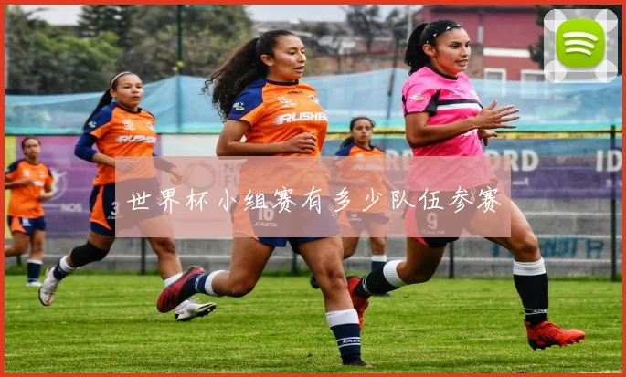 世界杯小组赛有多少队伍参赛