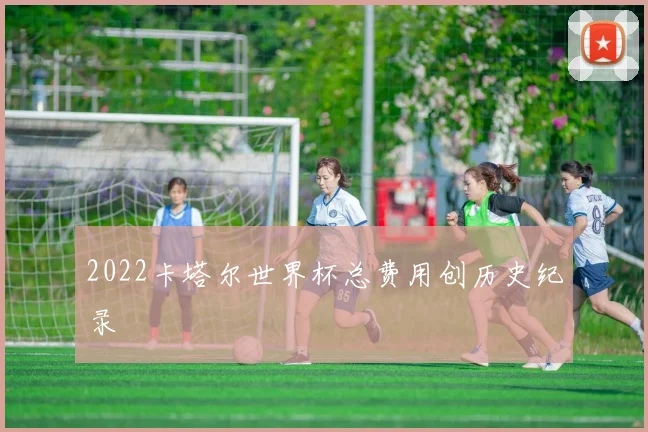 2022卡塔尔世界杯总费用创历史纪录