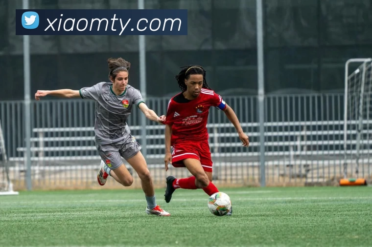 多媒体互动体验